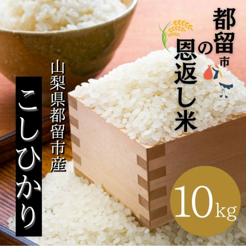 【令和７年産】山梨県都留市産こしひかり　都留市の恩返し米「都留市の恩返し米」10kg（5kg×２）｜こめ　米　新米　都留　山梨　コシヒカリ
