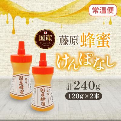ふるさと納税 盛岡市 藤原国産蜂蜜 けんぽなし 計240g 完熟 単花蜜 藤原養蜂場 岩手県盛岡市 |  | 03