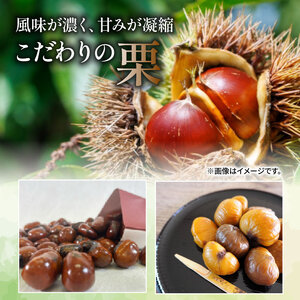 天津甘栗 1.5kg 京都 【甘栗】