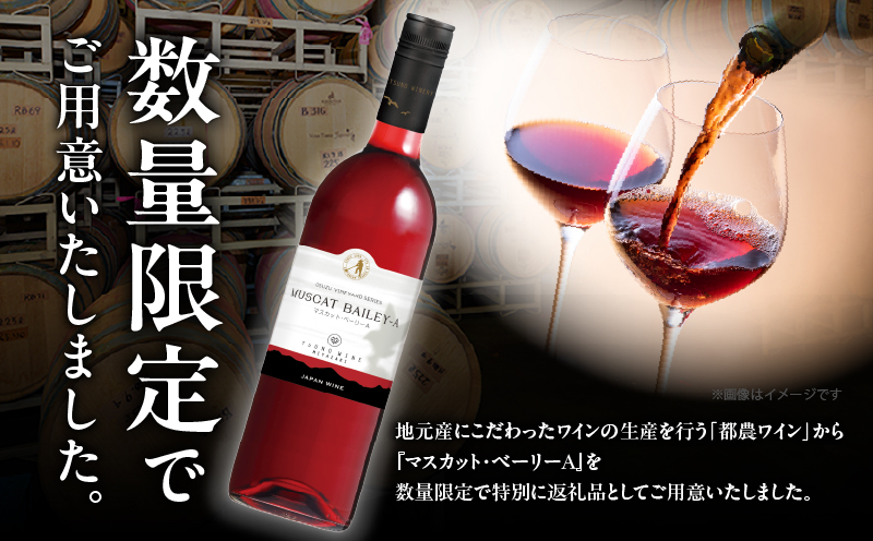 【数量限定】マスカット・ベーリーA 2本セット_T014-054【人気 ギフト 飲料 食品 お酒 お土産 限定品 贈り物 送料無料 プレゼント  ワイン 酒 飲料 アルコール 国産】