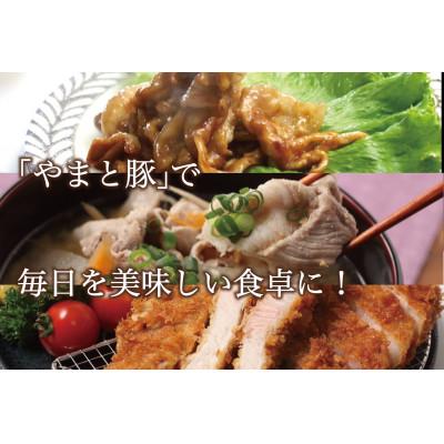 ふるさと納税 岩手町 やまと豚モモスライス&岩手町の旬野菜セット(5品以上) |  | 02
