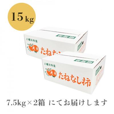 ふるさと納税 八幡浜市 《秋の味覚 種なしで食べやすい》 ひらたねなし柿 15kg (7.5kg×2箱)【H20-40】 |  | 03