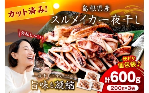 島根県産スルメイカ一夜干しカット済 計600g（小分け200g×3袋） 小分け 干物 一夜干し イカ 魚介類 スルメイカ 【005_2059】