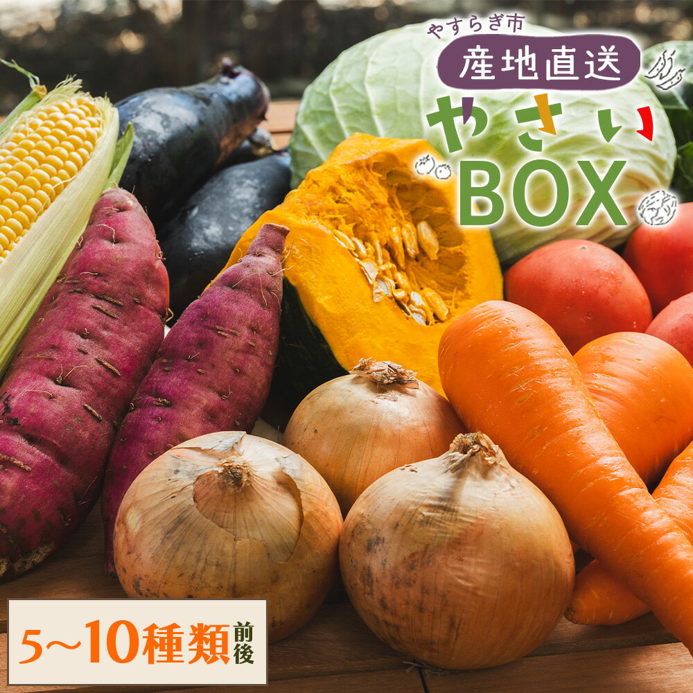 【ふるさと納税】【選べる】先行予約！産地直送やさいBOX（5種類前後／7種類前後／10種類前後） - 野菜 ベジタブル おまかせ 詰め合わせ セット 季節 旬 お任せ お楽しみ ヘルシー 国産 特産品 送料無料 やすらぎ市 高知県 香南市【冷蔵】Ryr-0041