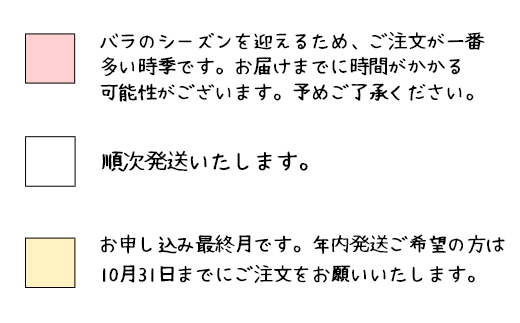 <園長セレクト♪>花巻温泉バラ園で育った「バラ中苗」5号サイズ -園長におまかせ-<2026年3月より発送> 【1856】