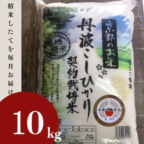 米 コシヒカリ 10kg 精米 白米