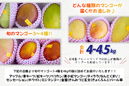 【先行予約】産地直送！石垣島産 マンゴー 食べ比べセット4～4.5kg (３～４種) (2024年6月中旬～8月下旬発送) IF-8
