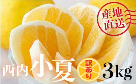 ＜先行予約＞【訳アリ】西内小夏　3kg　N42 [NU-01] 【西内農園】