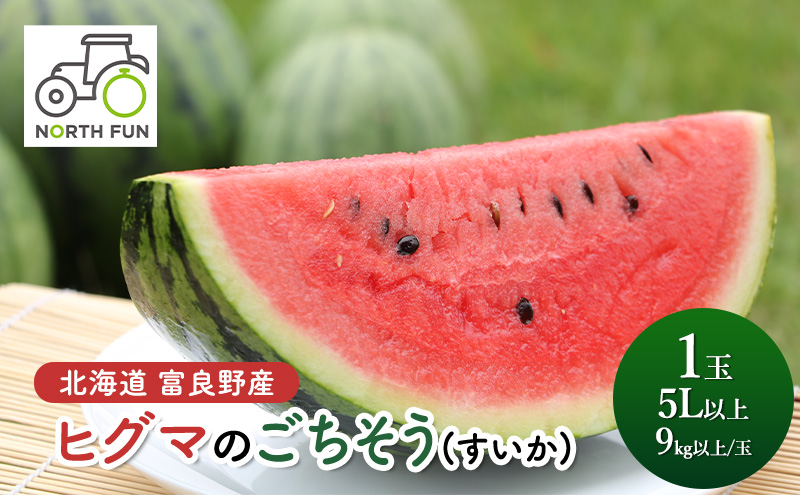 【7・8月 夏の果物 定期便 全2回】メロン×1玉 約2kg 大玉スイカ(Lサイズ) 夏大地×1玉 北海道 富良野産 すいか 西瓜 メロン 夏 フルーツ ふらの 甘い 糖度 大玉 ギフト (畠山農園）