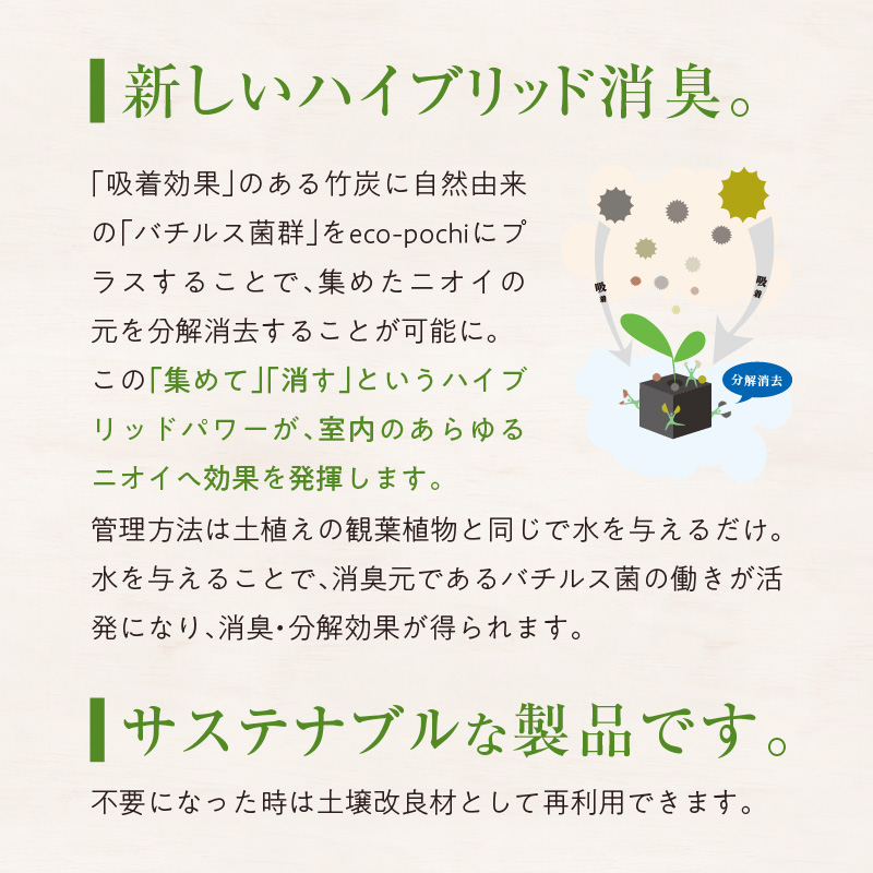 S060-121_エコ・アースでご利用可能なお買い物券　10,000円分