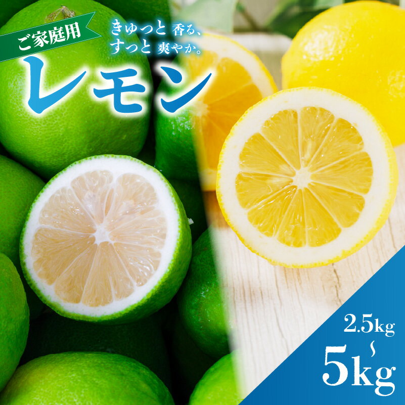 【ふるさと納税】 レモン 家庭用 2.5kg / 5.0kg 防腐剤 ワックス 不使用 【2026年9月下旬頃から順次発送】｜ 訳あり れもん レモン 檸檬 lemon 完熟 柑橘 国産 愛媛県産 訳あり 新鮮 愛媛 松山 蓮果園