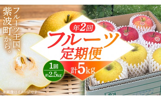 
                  フルーツ 定期便【年2回】計 5kg（各約2.5kg）梨 りんご 和梨 サンふじ シナノゴールド 愛甘水 林檎 リンゴ サンフジ フルーツ なし 果物 くだもの 食べ比べ 定期便 (FB001)
                