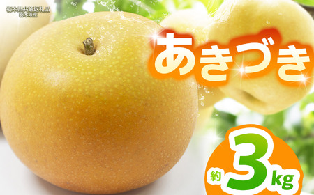 【栃木県共通返礼品】【2026年先行予約】あきづき 約3kg |あきづき 梨 なし ナシ 新品種 先行予約 大粒 新鮮 甘い 美味しい 果物 くだもの フルーツ ふるーつ 共通返礼品 フルーツ デザート 栃木県 那珂川町