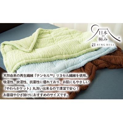 ふるさと納税 山形市 【日本の極み】選べる3色♪お昼寝ふわとろケット [ブルー]  FZ23-352