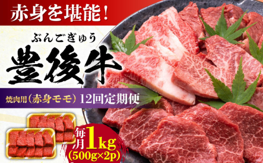 【全12回定期便】おおいた豊後牛 赤身モモ 焼肉用 1kg(500g×2P) 日田市 / 株式会社MEAT PLUS 牛肉 おおいた豊後牛 おおいた 豊後牛 黒毛和牛 国産 赤身 モモ もも 焼肉 焼肉用 和牛 [AREI097]