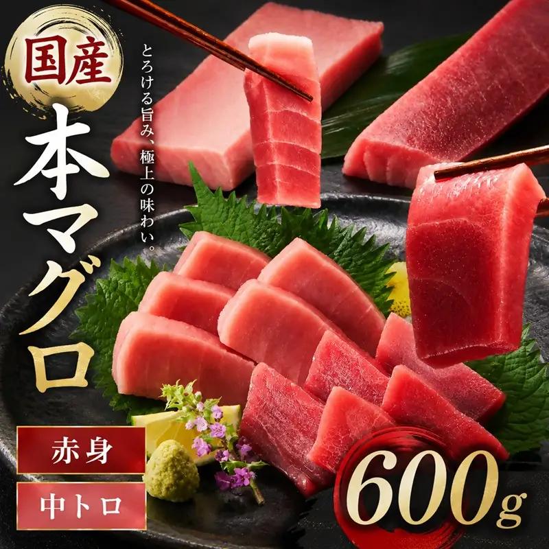 国産本まぐろ 中トロ 赤身 600g [ まぐろ ] / 2-134