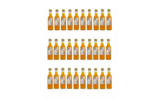 【定期便 3回】小田原産江之浦みかんスパークリング果汁入り飲料果汁５０％２００ml３０本 142069_GJ045
