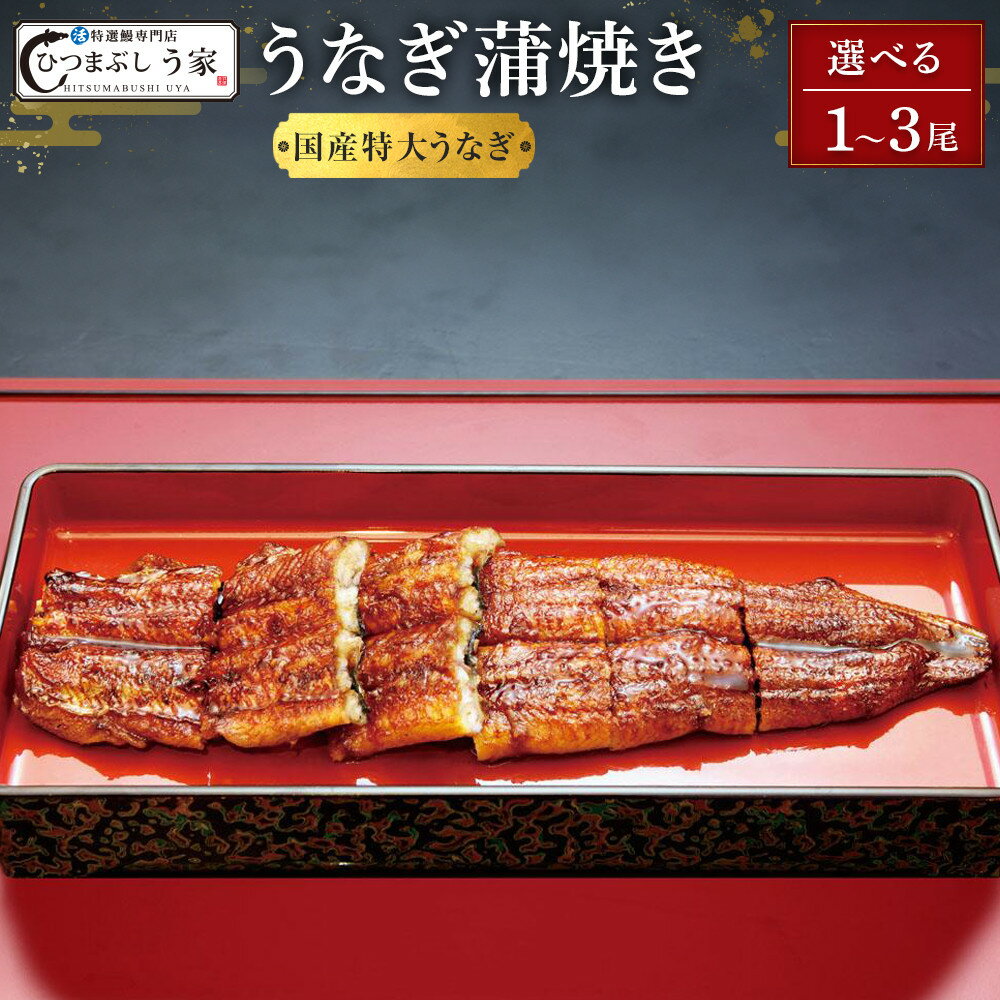 【ふるさと納税】【選べる！内容量】国産特大うなぎ蒲焼き（1～3尾） | 愛知県 名古屋市 愛知 名古屋 楽天ふるさと 納税 支援品 返礼品 支援 返礼 お取り寄せグルメ 取り寄せ グルメ お取り寄せ うなぎ 国産 鰻 国産うなぎ 蒲焼き 魚介 魚介類 うなぎ蒲焼き 鰻蒲焼き 食品
