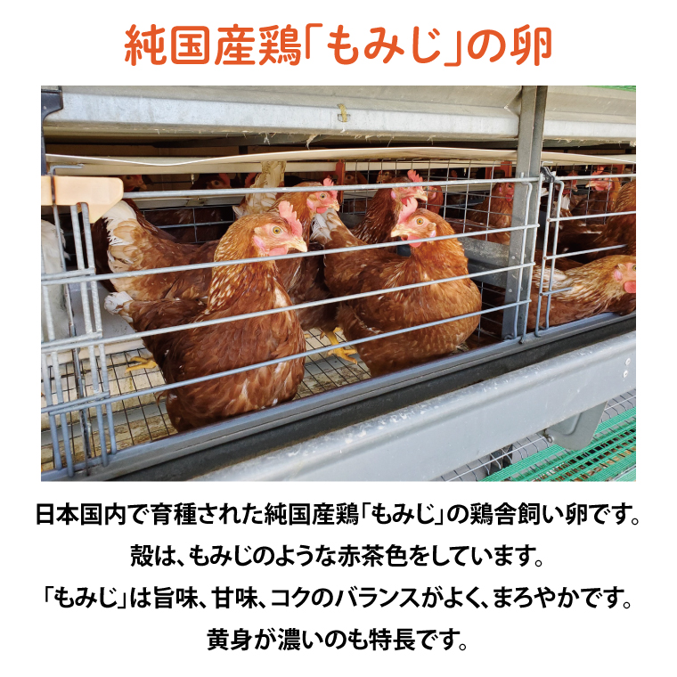 純国産鶏【さくらともみじ】純たまご30個 (破損保証5個含む)【3ヶ月連続お届け】 (AJ014-2)