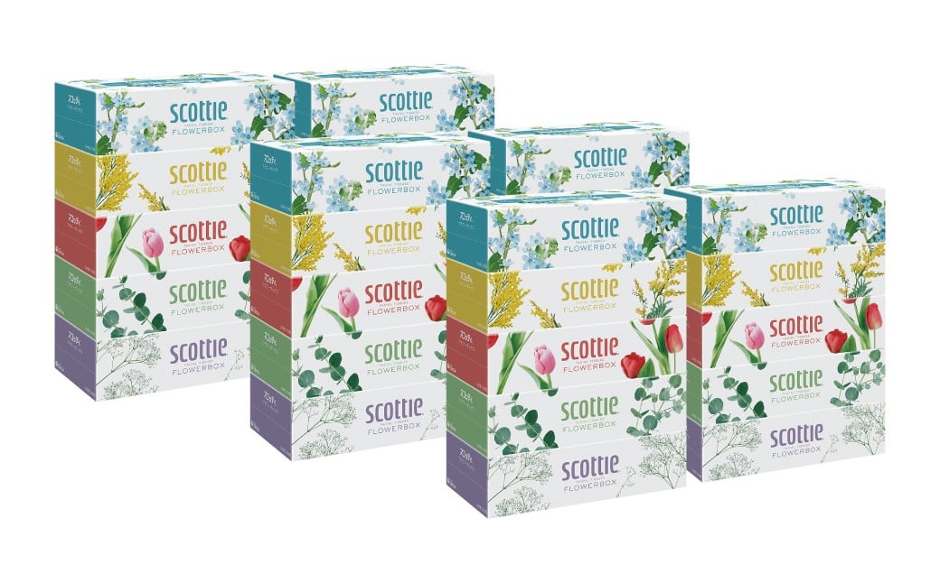 【定期便6回】【毎月お届け】【スコッティ】ティシュー フラワーボックス 250組 5箱パック×6セット 合計30箱