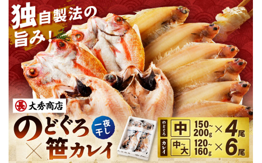 山陰浜田で創業40年大秀商店の「のどぐろ（中）と子持ち笹かれいの干物」魚介類 魚介 魚 セット 加工品 一夜干し 干物 干もの のどぐろ アカムツ 子持ち笹かれい 笹かれい 【038_1957】