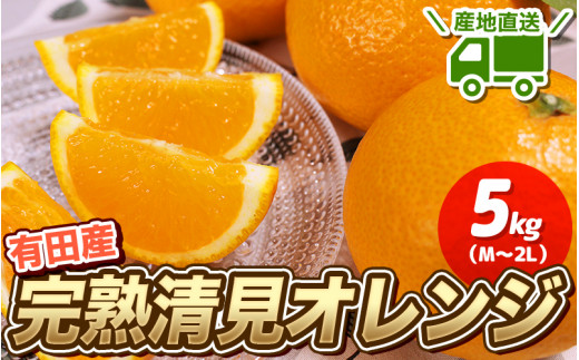 ＼ みかんの名産地 和歌山県産／ 農家直送 完熟清見オレンジ 5kg (M～２Lサイズおまかせ) ひとつひとつ手選別で厳選【2026年3月中旬～4月下旬ごろに順次発送予定】【hdm003A】