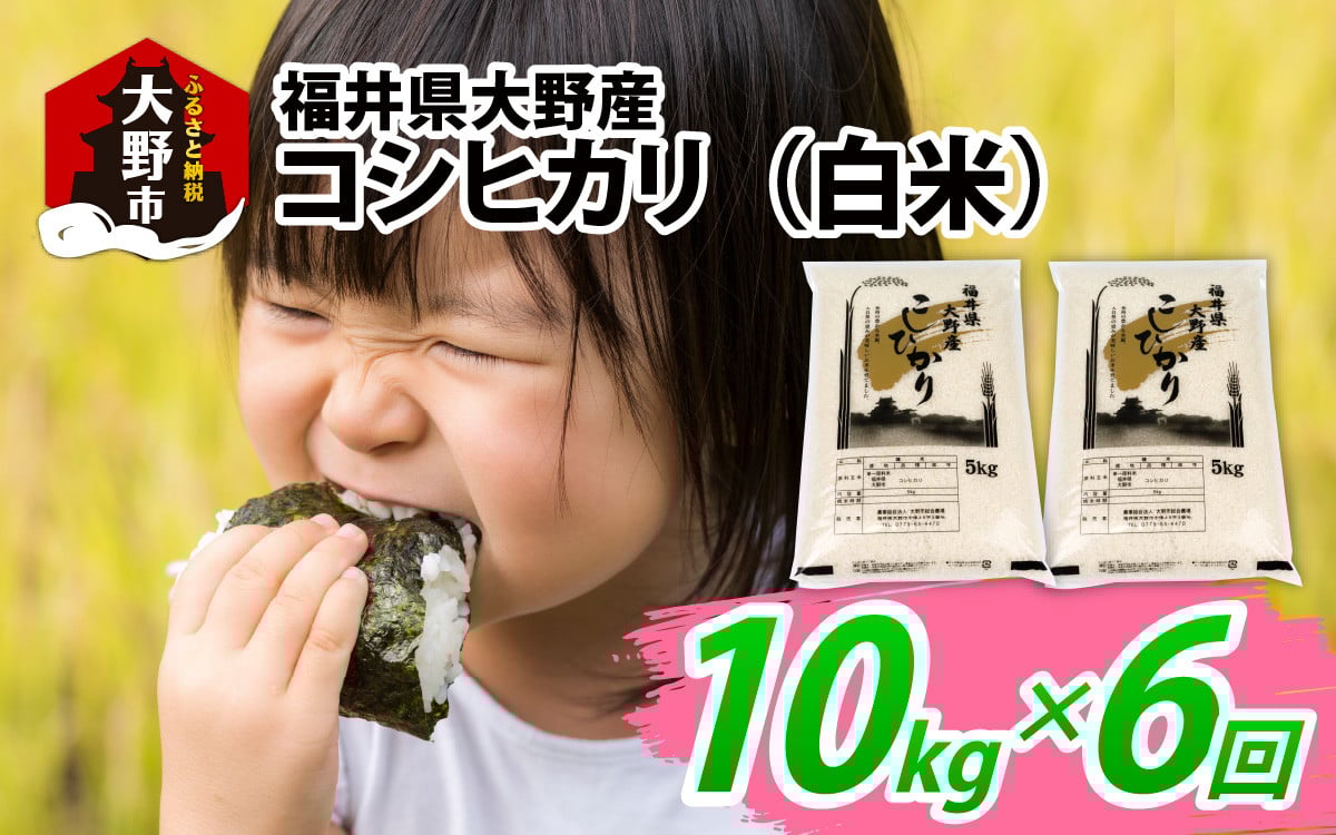 
                  【6ヶ月定期便】【令和7年産】福井県大野産コシヒカリ（白米）10kg(5kg×2袋)×6回 計60kg
                