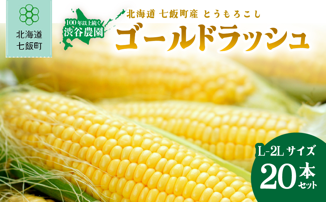 【先行予約 令和8年8月発送】北海道七飯町産 とうもろこし「ゴールドラッシュ」(L-2Lサイズ) 20本セット NABT005