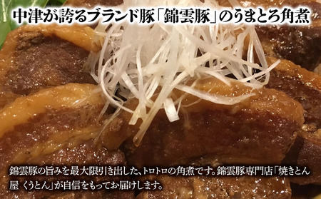 おおいた和牛焼肉カルビ・錦雲豚角煮セット カルビ800g 角煮400g 牛肉 和牛 焼肉 焼き肉セット 大分県産 中津市