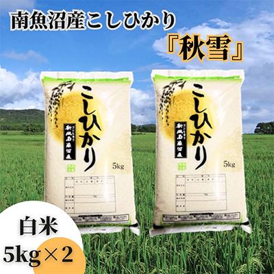 ふるさと納税 南魚沼市 【毎月定期便】南魚沼産こしひかり「秋雪」白米10kg 新潟県特A地区の美味しいお米 下旬発送 全9回 | 