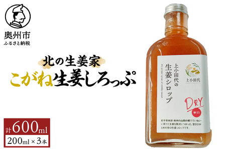 北の生姜家 辛口 生姜しろっぷ200ml×3本 保存料着色料不使用 農場生産 自家製しょうがとてんさい糖を贅沢に使用 岩手県奥州市江刺産 Dry[T0010]