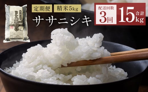 〈 先行予約 〉【定期便3回】 米 令和7年産 ササニシキ 精米 15kg (5kg×3) こめ コメ お米 ご飯 白米 ささにしき 定期便 3回
