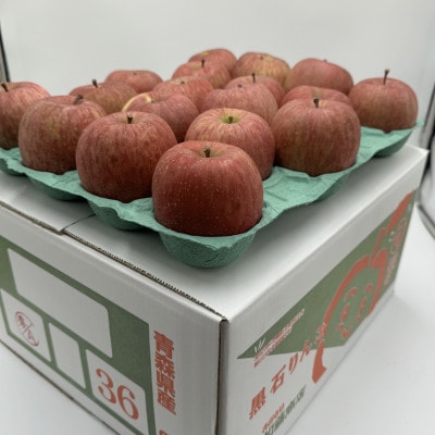 【令和6年9月下旬～随時発送予定】　内容量　10kg(26～46個入)　訳ありりんご　早生ふじ【配送不可地域：離島・沖縄県】