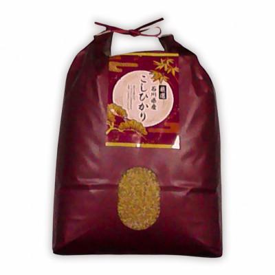 ふるさと納税 七尾市 石川県七尾市産　コシヒカリ　玄米　5Kg |  | 01