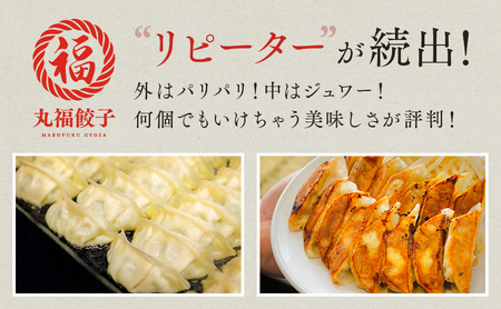 餃子 遠州名物 丸福 タレ付き ぎょうざ 冷凍 静岡 餃子