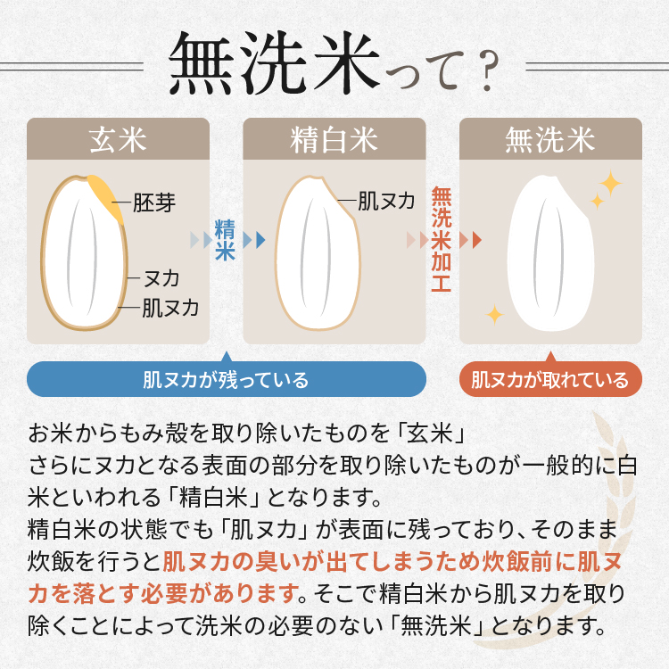 【先行予約】【定期便3回】 ＼無洗米／ 栃木県産コシヒカリ 2kg | 真岡市産 コシヒカリ 銘柄 お米 米 おにぎり おむすび ふるさと納税 栃木県 真岡市 送料無料