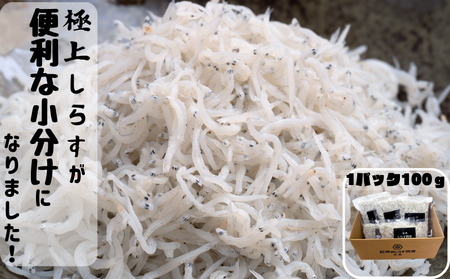シラス 厳選 小分け 冷凍便 / 【ふるさと納税】冷凍釜揚げしらす500g （100g×5パック）【dig001】