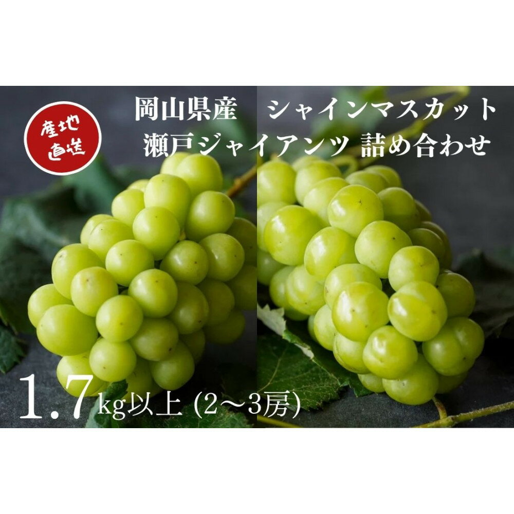 【ふるさと納税】厳選 シャインマスカット・瀬戸ジャイアンツ 2～3房 合計1.7kg以上 詰合せ 産地直送 朝採れ ぶどう 葡萄 Kawahara Green Farm 岡山県産 2026年 | 果物 フルーツ 岡山のブドウ デザート 食べ物 国産 日本産