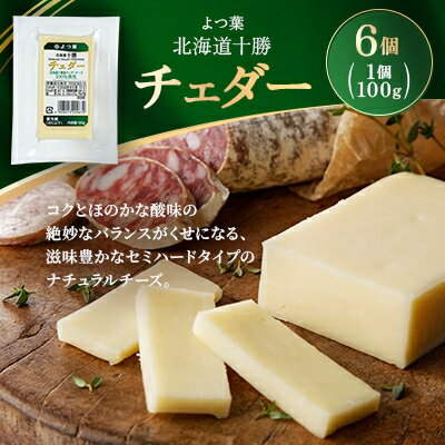 【ふるさと納税】よつ葉 北海道十勝 チェダー 100g×6個【配送不可地域：離島】【1690055】
