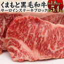 【ふるさと納税】くまもと黒毛和牛 サーロイン ステーキ ブロック ＜選べる容量＞約1.8kg または 約3.6kg または 約5.4kg A-5等級 牛肉 お肉 九州産 国産 熊本県産 黒毛和牛 お取り寄せ グルメ 冷凍 送料無料