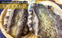 【ふるさと納税】【期間限定】【とれたて産地直送】三陸の荒波で育った久慈産天然「生あわび」1.2kg