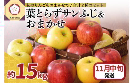 【2025年11月中旬発送】 りんご 15kg 詰め合わせ 計2種(葉とらず サンふじ と 他1種)