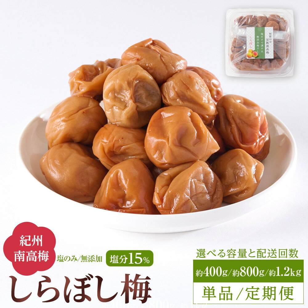 【ふるさと納税】【単品・定期便より選択可】梅干し しらぼし梅 約400g or 約800g or 約1.2kg 塩のみ 無添加 大粒 紀州南高梅 塩分約15％ 和歌山県産 | 梅干し 梅干 食品 加工食品 人気 おすすめ 送料無料