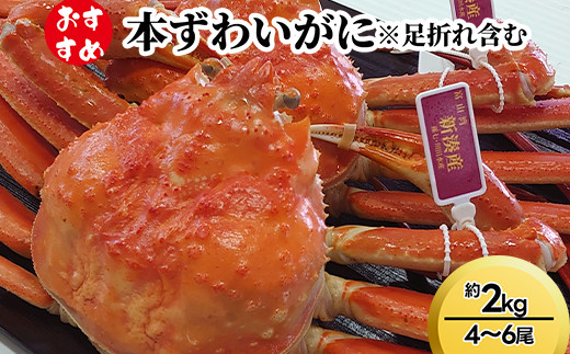 
                  【おすすめ】本ずわいがに約2kg（4～6尾）ずわい蟹 ずわいガニ ズワイガニ 紅ズワイガニ 紅ずわいがに カニ 蟹 かに かにしゃぶ カニしゃぶ 蟹しゃぶ かに鍋 カニ鍋 蟹鍋 かに味噌 カニ味噌 かにみそ 魚貝類 魚介類 ボイル 国産 富山 富山湾 北陸 富山カニ 北陸カニ 富山かに 北陸かに 富山蟹 北陸蟹 ※足折れ含む ※2026年11月～発送
                