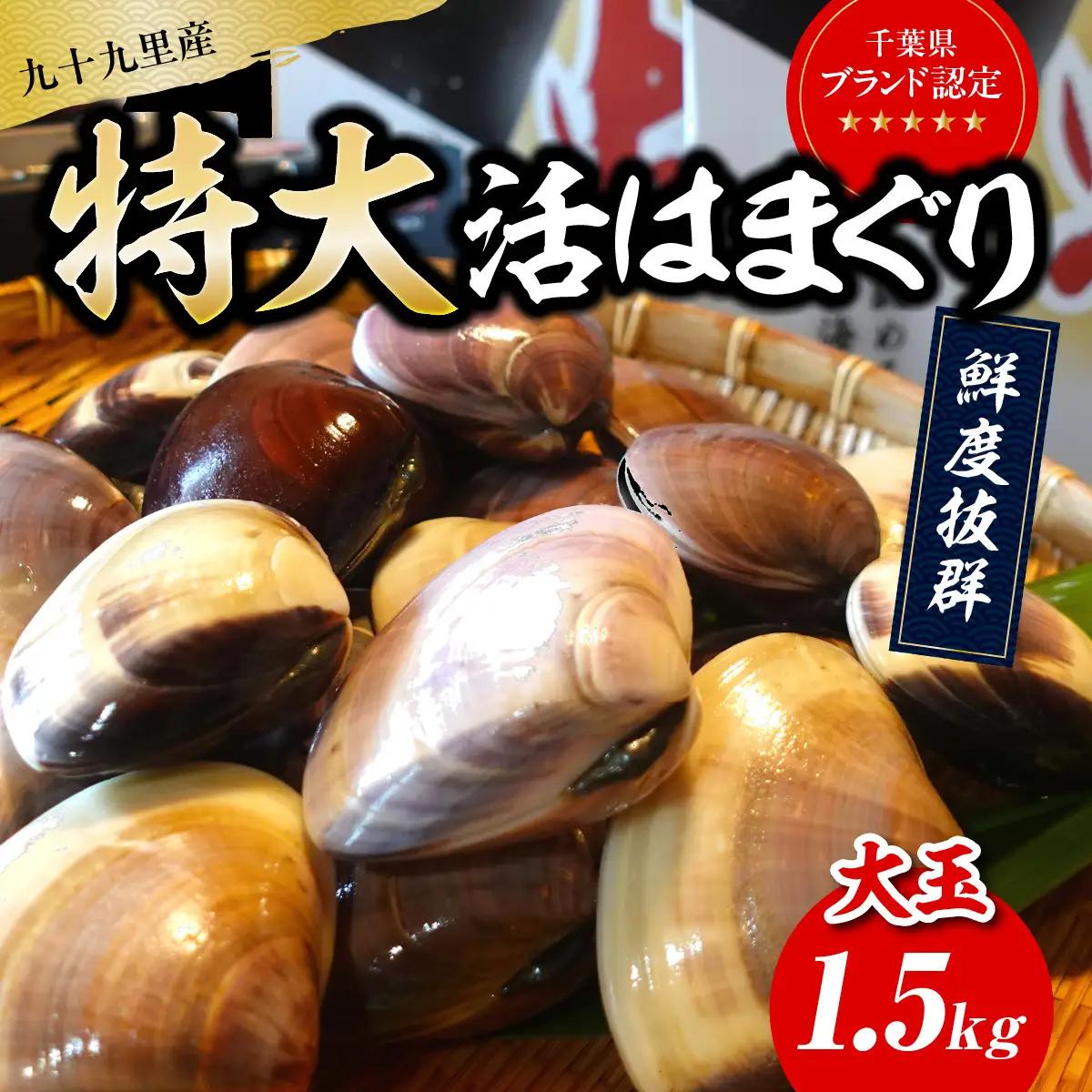 【千葉県ブランド認定】天然特大活はまぐり《1.5㎏》／ふるさと納税 はまぐり ハマグリ 蛤 貝類 魚介 海鮮 お吸い物 パスタ パエリア お歳暮 贈答 お祝い 千葉県 山武市 SMBO003