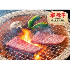 【2024年5月中旬発送】飛騨牛ロース焼肉用 約300g(5等級/冷凍)