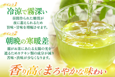 茶 お茶 緑茶 長崎 そのぎ茶 定期便 毎月 彼杵茶 玉緑茶 アルミボトル 490ml 24本 9回 総計216本 [彼杵の荘 長崎県 東彼杵町 hs42bag270023] 月に1回 ペットボトル 