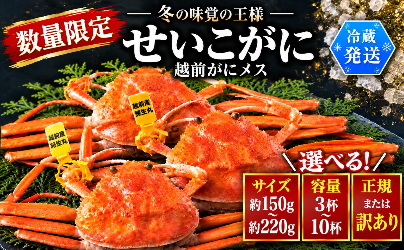 
                  【冷蔵発送】＼早期予約開始／越前がに（メス）「せいこがに」 選べるサイズ～小～特大サイズ  正規 訳あり 150g 180g 210g前後 3杯 5杯 10杯
                
