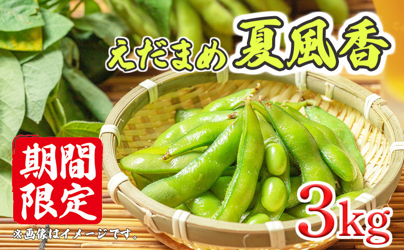 
                  ＜2026年発送＞ 【 先行予約 】 訳あり 期間限定 予約 えだまめ 枝豆 3kg 夏野菜 豆 お手軽 ビール おつまみ 新鮮 野菜 やさい 晩酌 冷蔵 静岡県 沼津市
                
