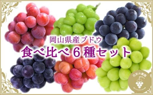 
            岡山　花笑み農園のブドウ『食べ比べ6種セット』　6M-5　＜9月下旬～順次発送＞_ぶどう 葡萄 ブドウ 岡山県産 果物 くだもの フルーツ ギフト 食べ比べ セット 6種 岡山県 津山市 産地直送 送料無料【1596449】
          